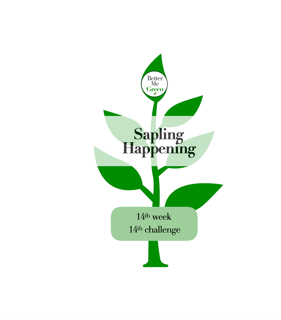 Better Me Green - Sapling Happening