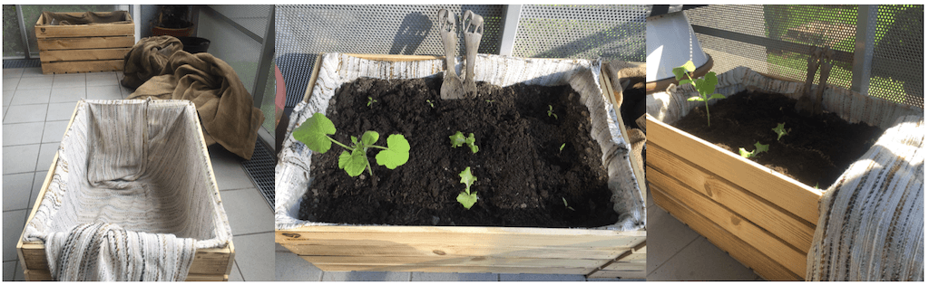 Curtains-Veggie-Plant-Box-Liner